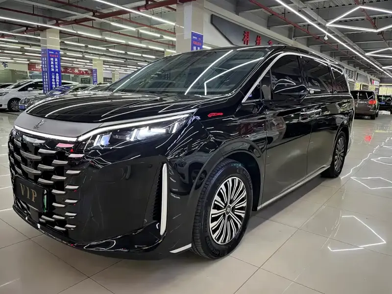 BYD Xia, 2025