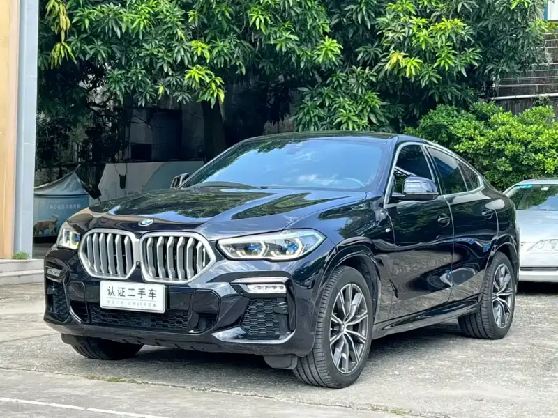 BMW X6, 2021