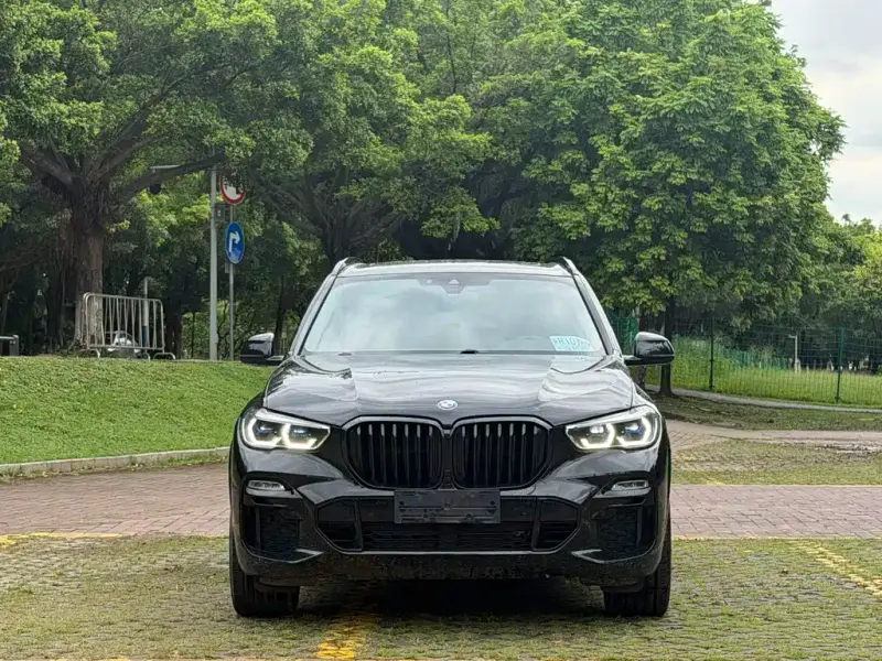 BMW X5 (Import), 2019