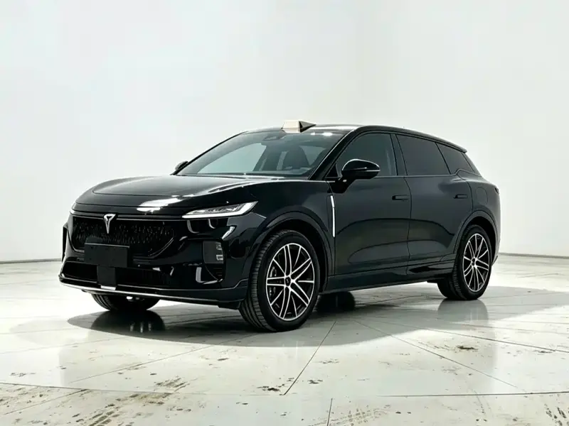VOYAH Zhiyin, 2025