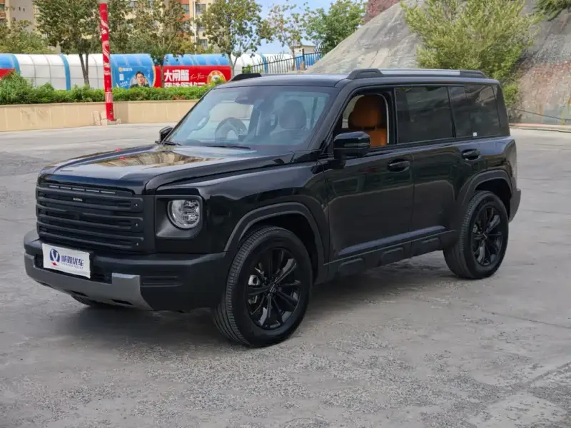 Haval Menglong New Energy, 2025