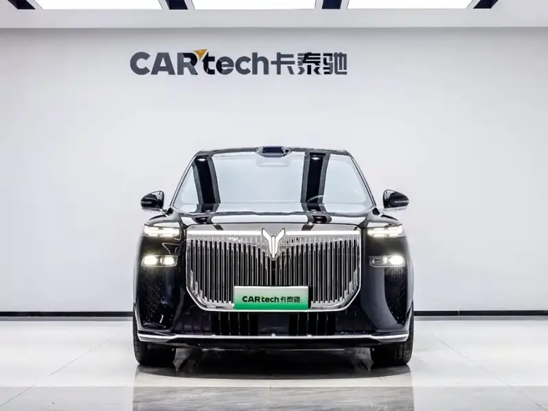 VOYAH Taishan, 2025