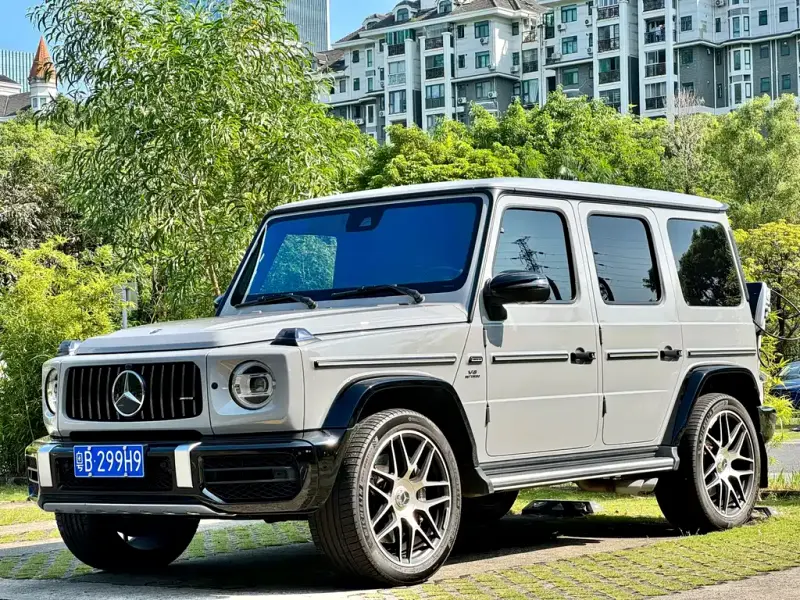 Mercedes-Benz G-Class AMG Mercedes-Benz G-ClassAMG 2020 AMG G 63 Time Engraved Special Edition, 2020 — фото 1