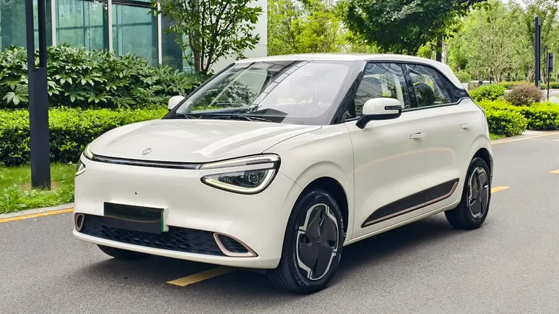 Dongfeng Yipai Nami 01, 2024