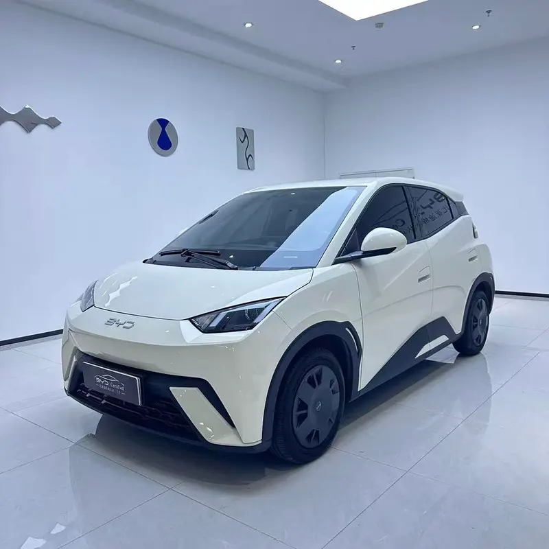 BYD Seagull, 2025