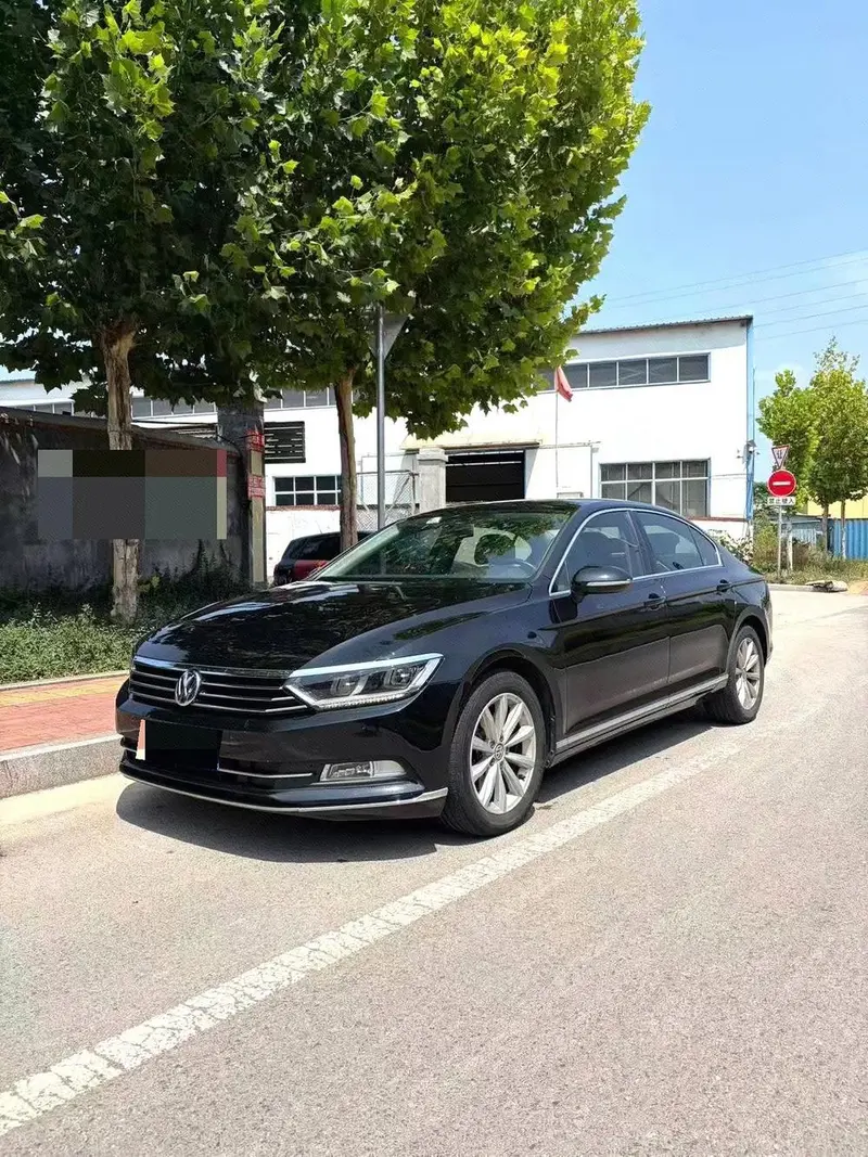 Volkswagen Magotan, 2019