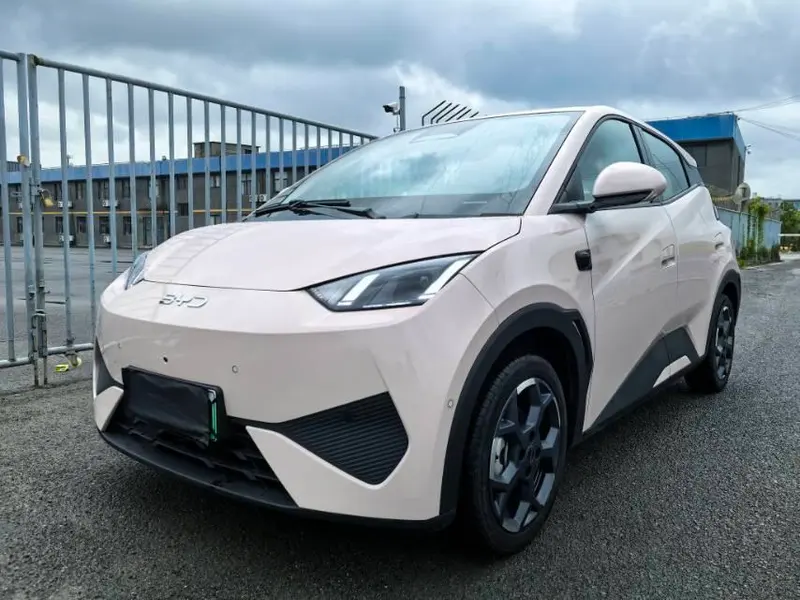 BYD Seagull, 2025