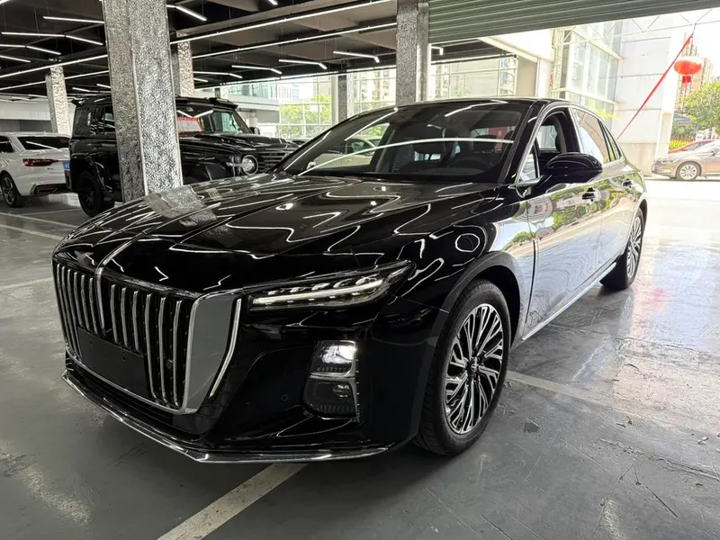 Hongqi H5, 2025