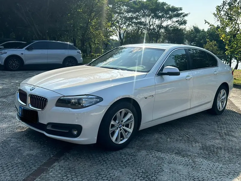 BMW 5-Series, 2014