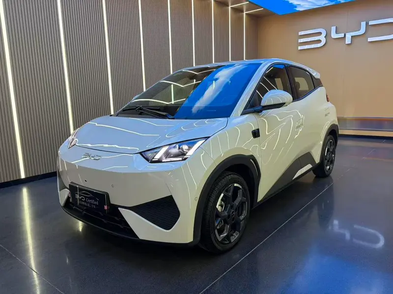 BYD Seagull, 2025