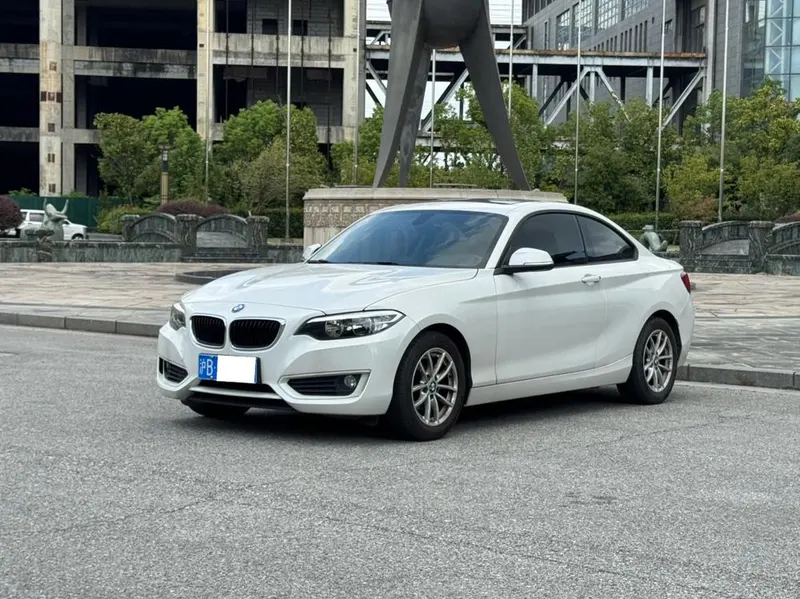 BMW 2-Series (Import), 2015