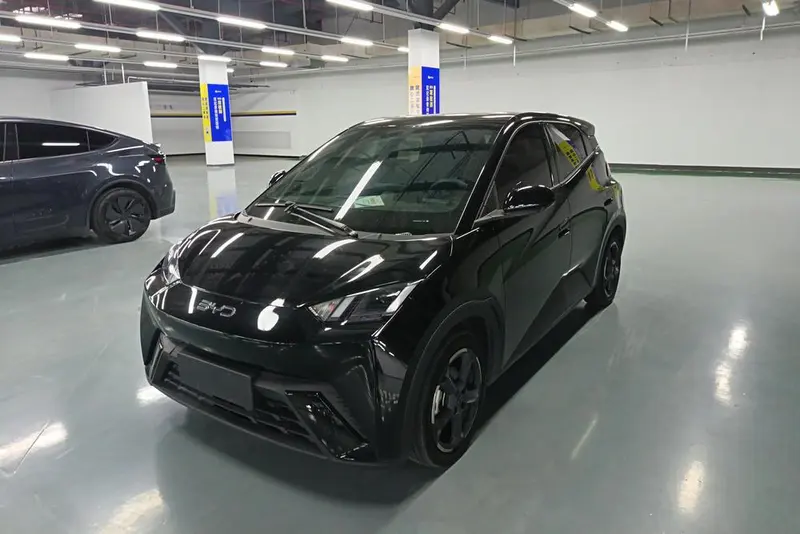BYD Seagull, 2024