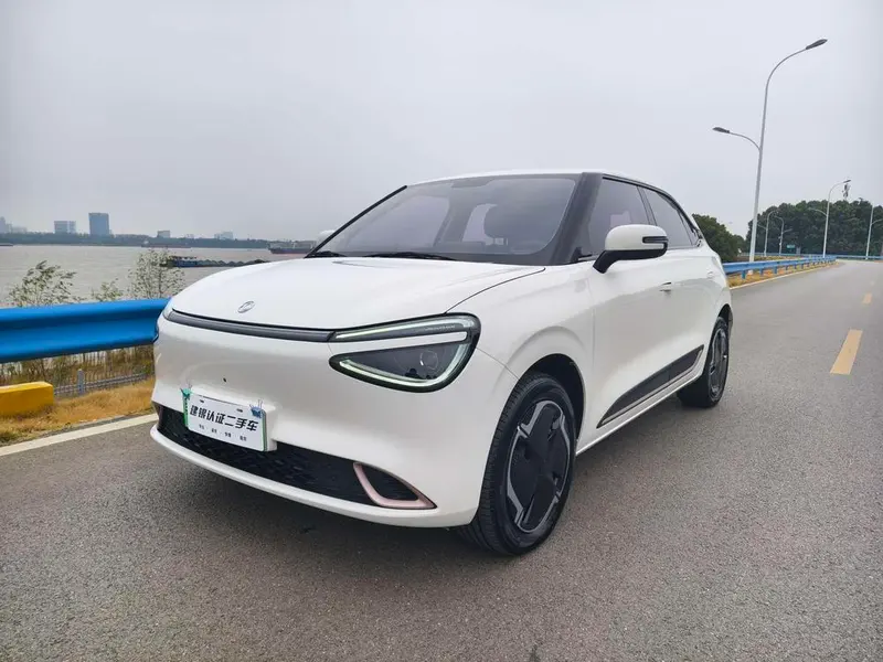 Dongfeng Yipai Nami 01, 2024