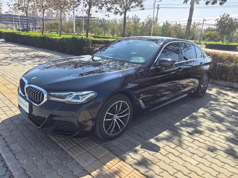 BMW 5-Series, 2021
