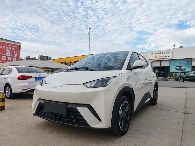 BYD Seagull, 2024