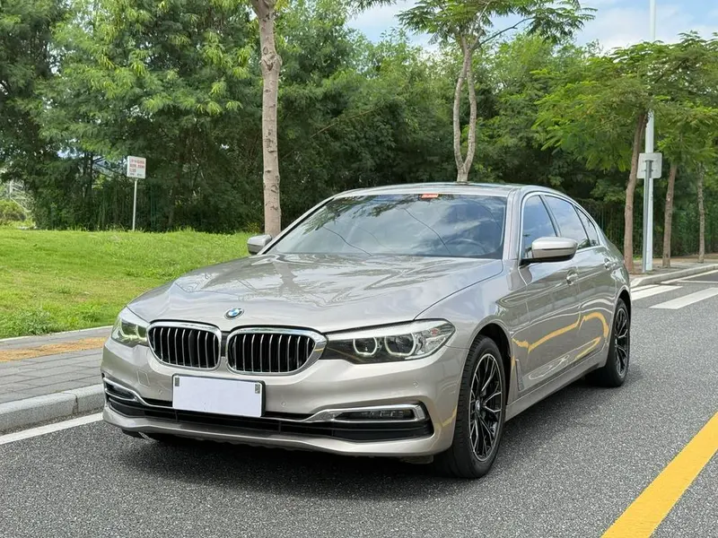 BMW 5-Series, 2019