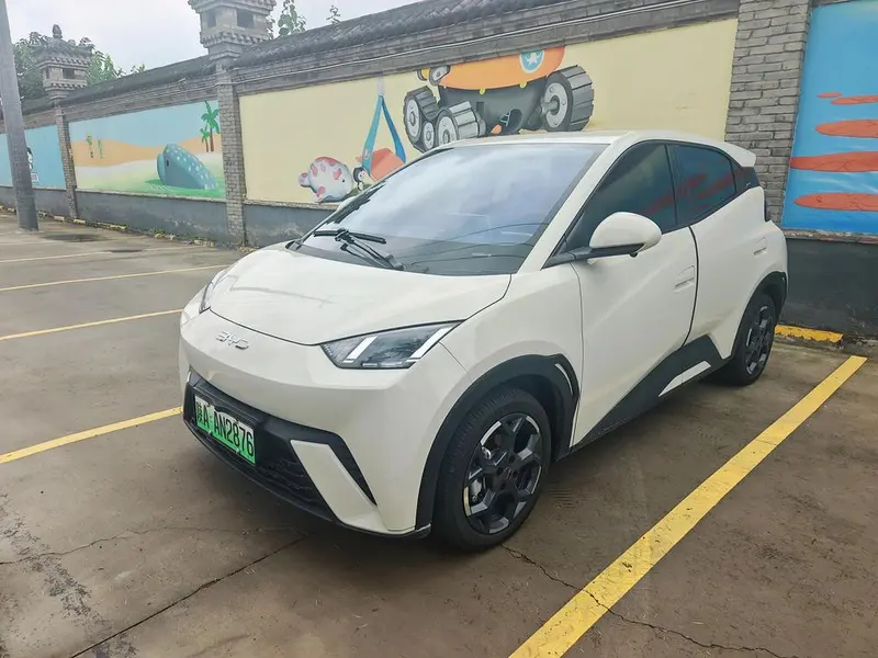 BYD Seagull, 2025
