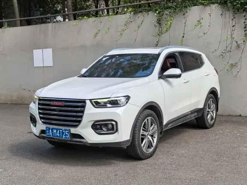Haval H6, 2018