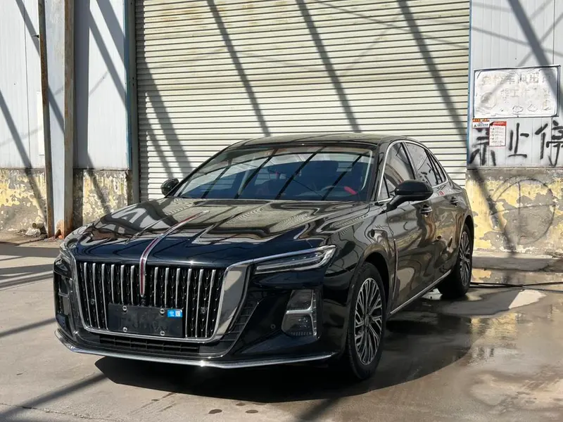 Hongqi H5, 2025