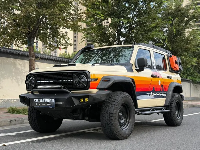 Tank 300, 2021