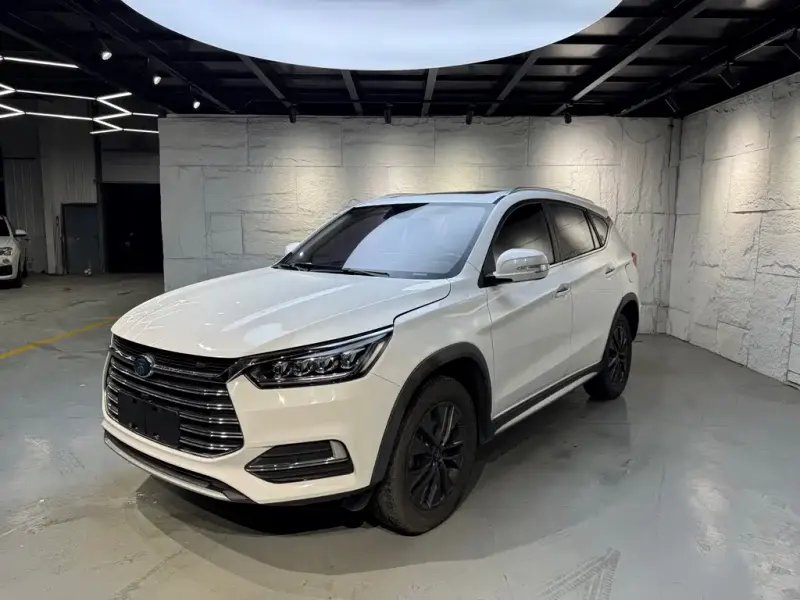 BYD New Energy, 2018