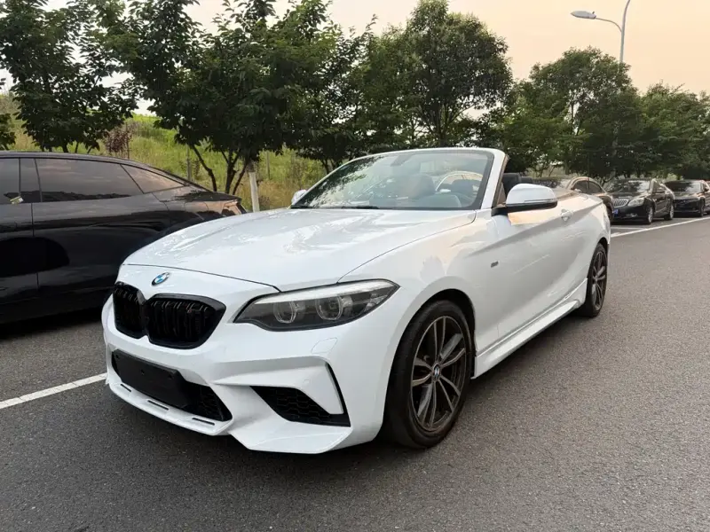 BMW 2 Series (Import), 2018