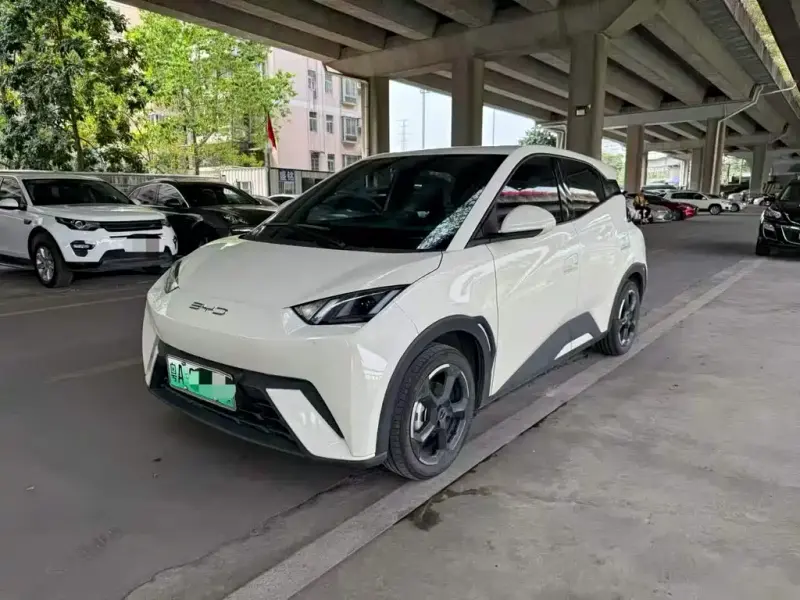 BYD Seagull, 2024