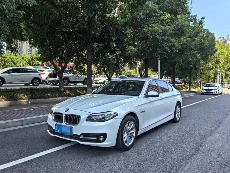 BMW 5 Series, 2014
