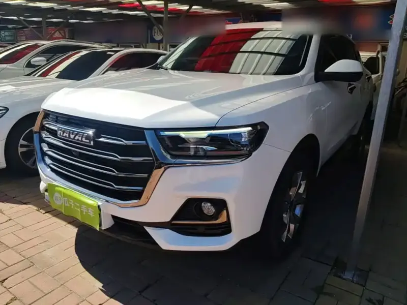 Haval H6 Haval H6 2021 National Trend Edition 1.5T Auto Champion Edition, 2021 — фото 1