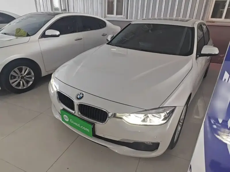 BMW 3 Series BMW 3 Series 2016 320Li Progressive Type, 2016 — фото 1
