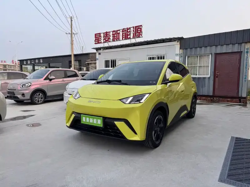 BYD Seagull, 2023