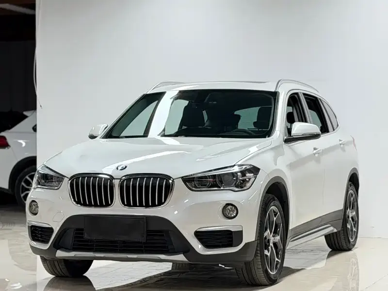 BMW X1 BMW X1 2018 xDrive20Li Premium Type, 2017 — фото 1