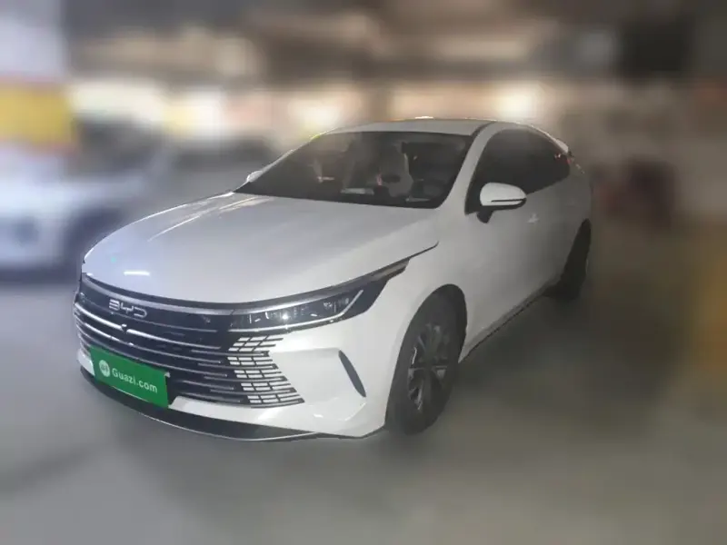 BYD Destroyer 05, 2024