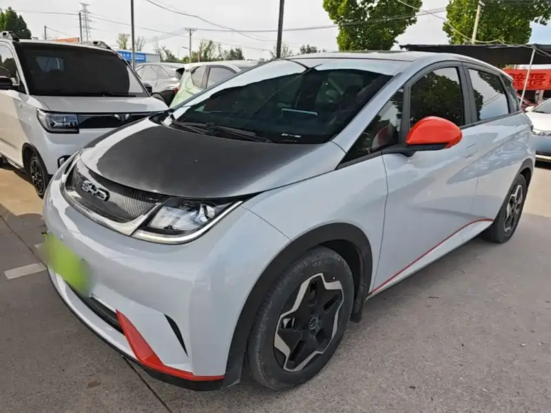 BYD Dolphin, 2022