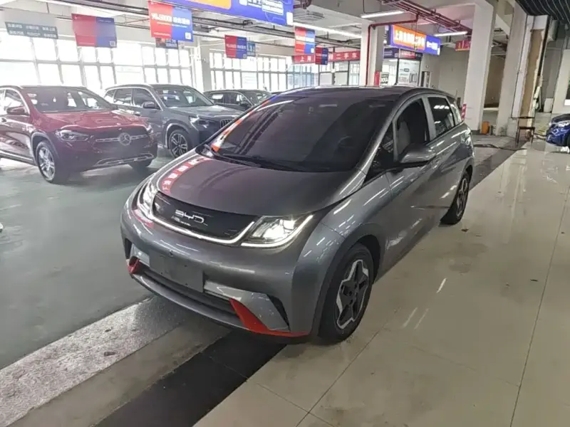 BYD Dolphin, 2022