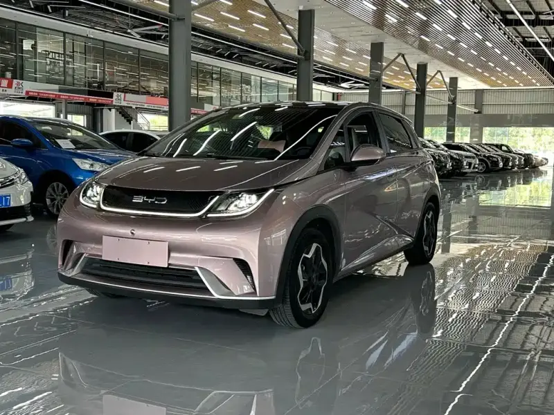 BYD Dolphin, 2022