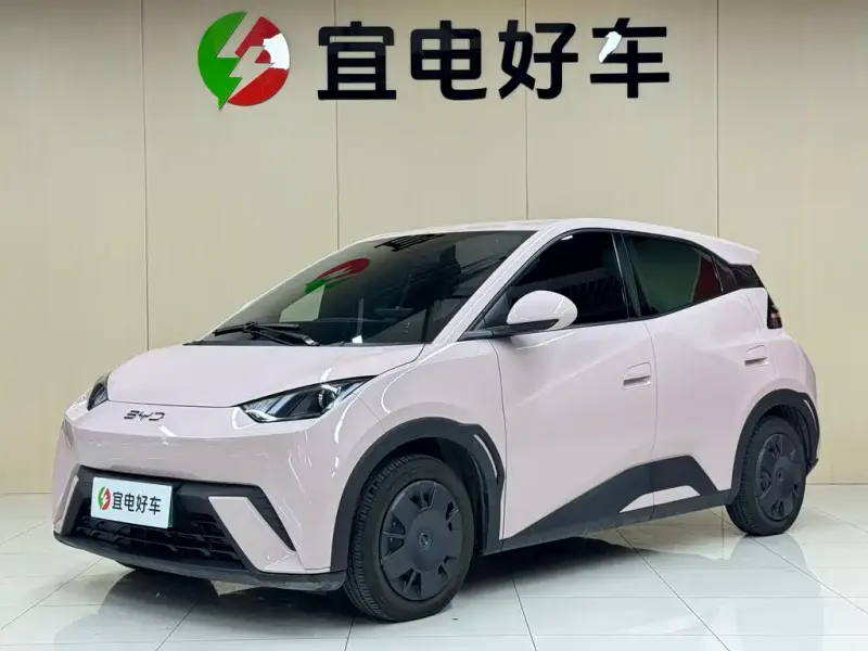 BYD Seagull, 2025