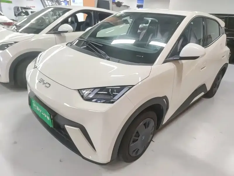 BYD Seagull, 2025