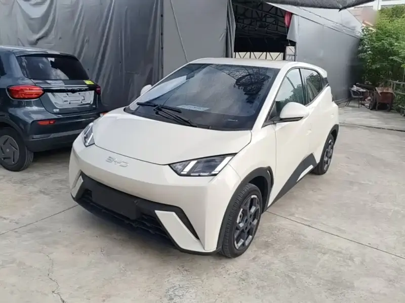 BYD Seagull, 2024
