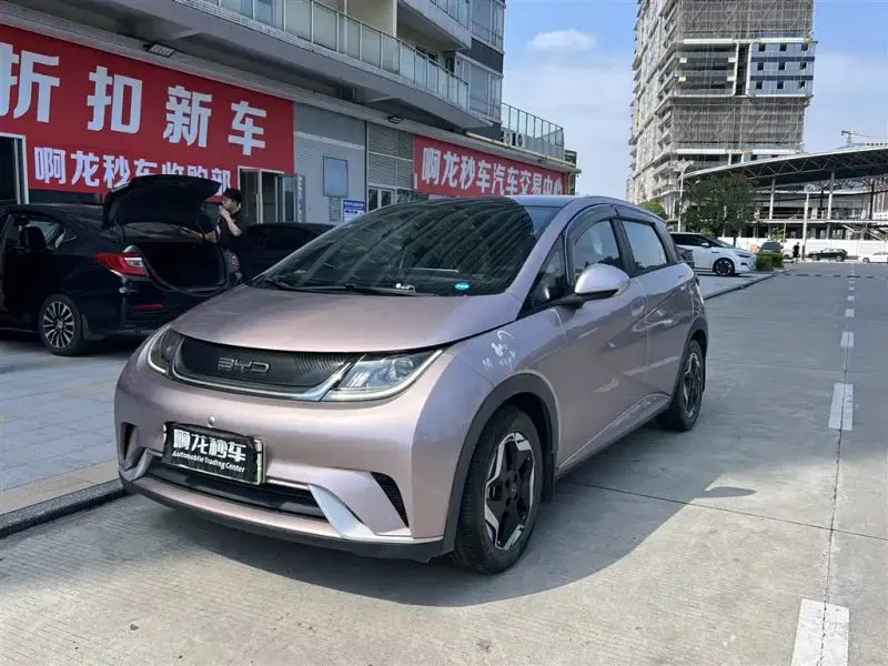 BYD Dolphin, 2022
