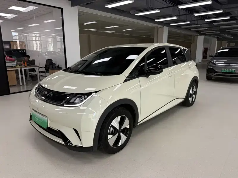 BYD Dolphin, 2024