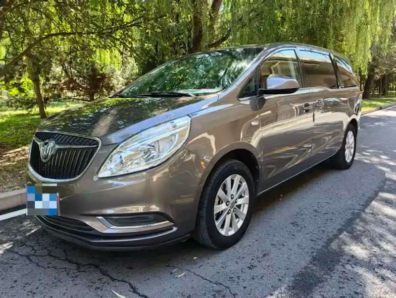 Buick GL8, 2019