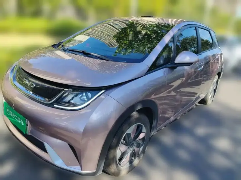 BYD Dolphin, 2024