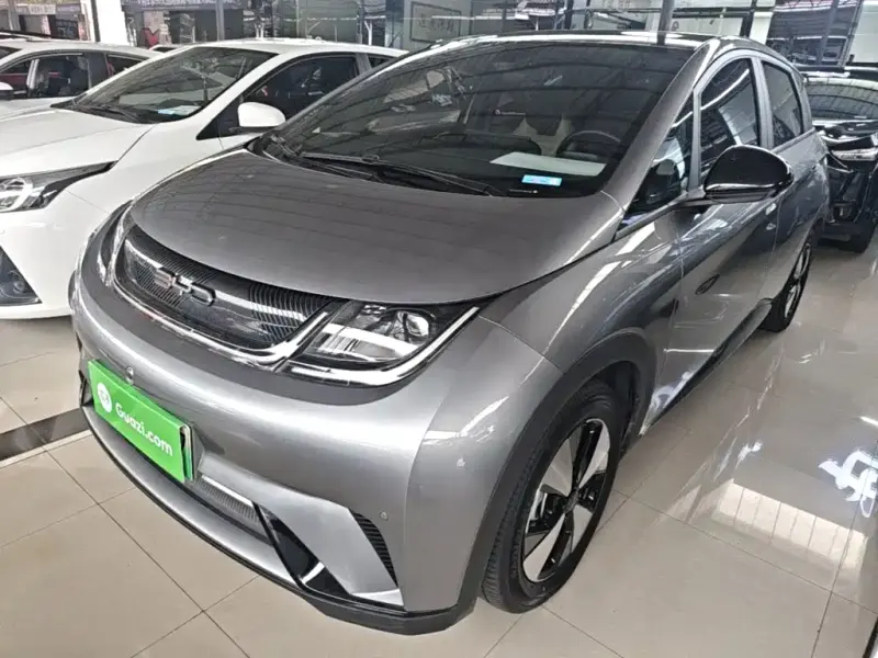 BYD Dolphin, 2024