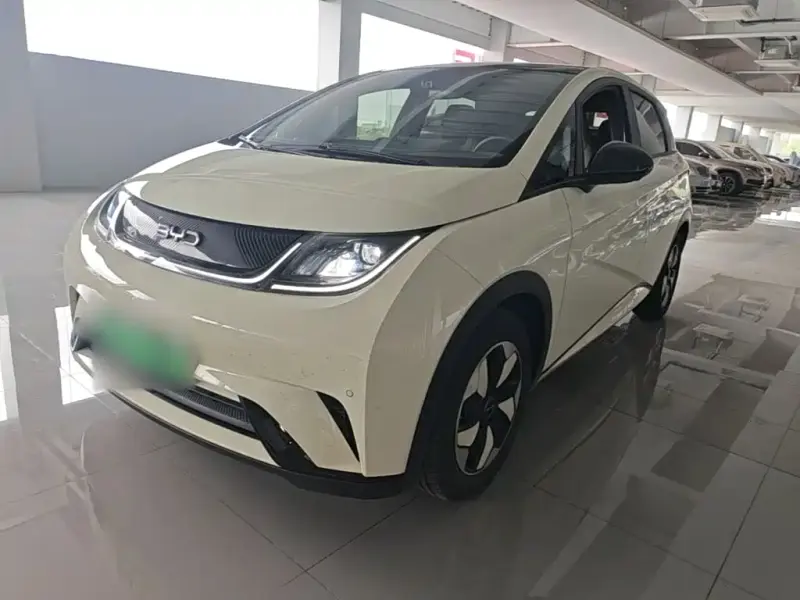 BYD Dolphin, 2024