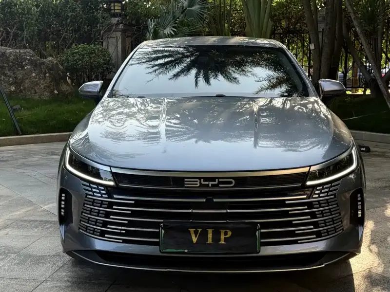 BYD Destroyer 05, 2023