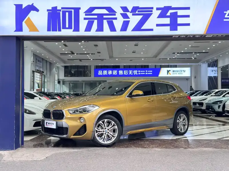 BMW X2 (Import) BMW X2( Import ) 2019 sDrive25i Leading Type M Offroad Package China VI, 2019 — фото 1
