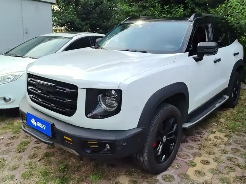 Haval Big Dog Haval Dargo (Big Dog) 2021 1.5T DCT 2WD Horse Dog - Lucky Edition, 2021 — фото 1