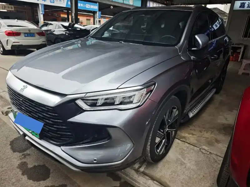 BYD Pro New Energy, 2024