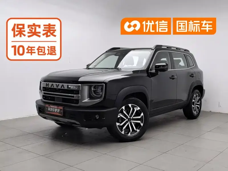 Haval Big Dog, 2024